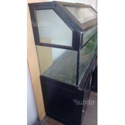 Acquario 50 x 50 x 120 con mobile