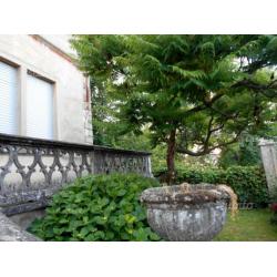 Bozzole - Villa Liberty con giardino