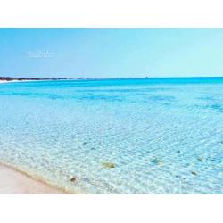 PORTO CESAREO mini appartamento 50m SPIAGGIA