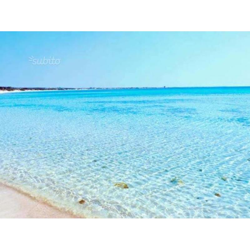 PORTO CESAREO mini appartamento 50m SPIAGGIA