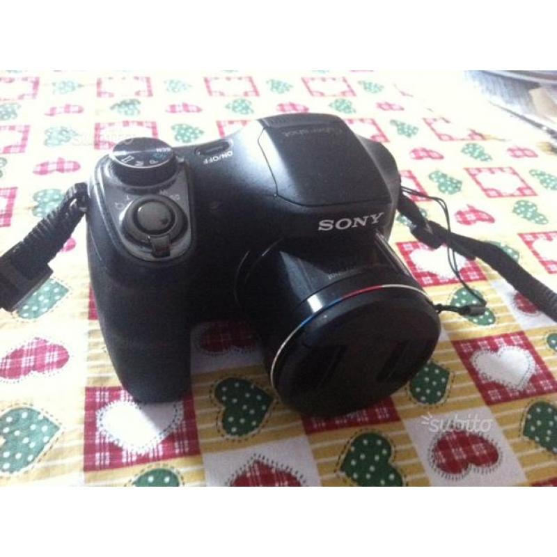 Sony dsc-h200