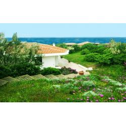 White villa 4+ 2 pl a soli 100 mt dal mare