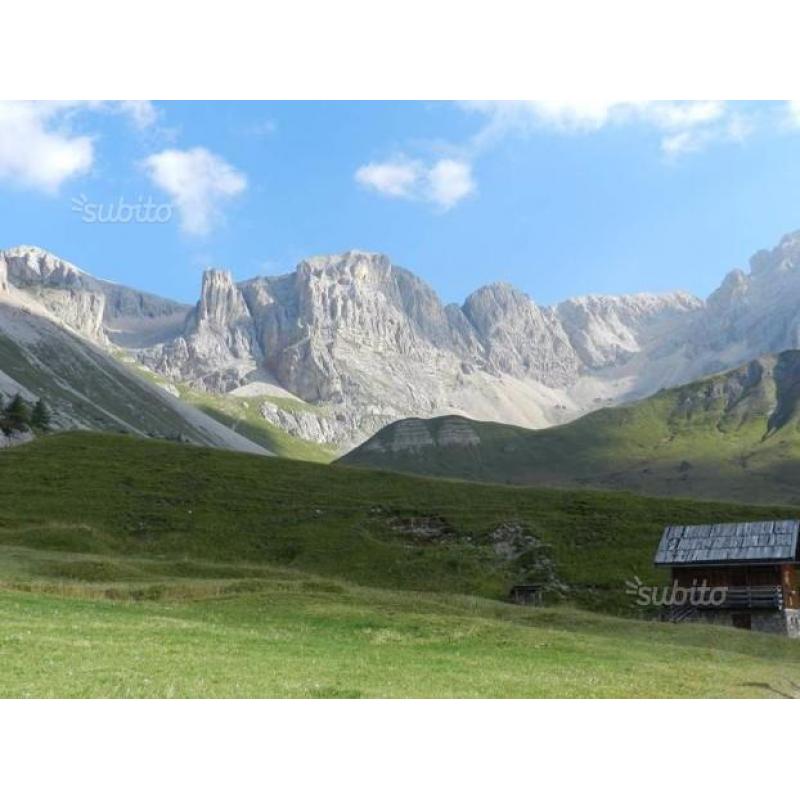 Appartamento piano terra con giardino si animali