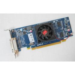 Scheda grafica AMD Radeon HD6350 PCI-E