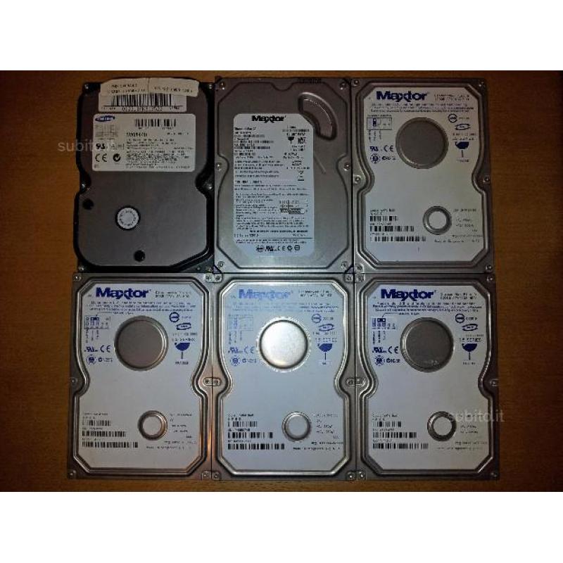 6 HDD EIDE/PATA da 80 a 160 GB Maxtor e Samsung