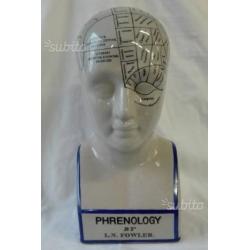 Phrenology scultura