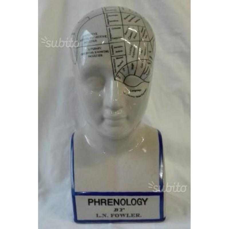 Phrenology scultura