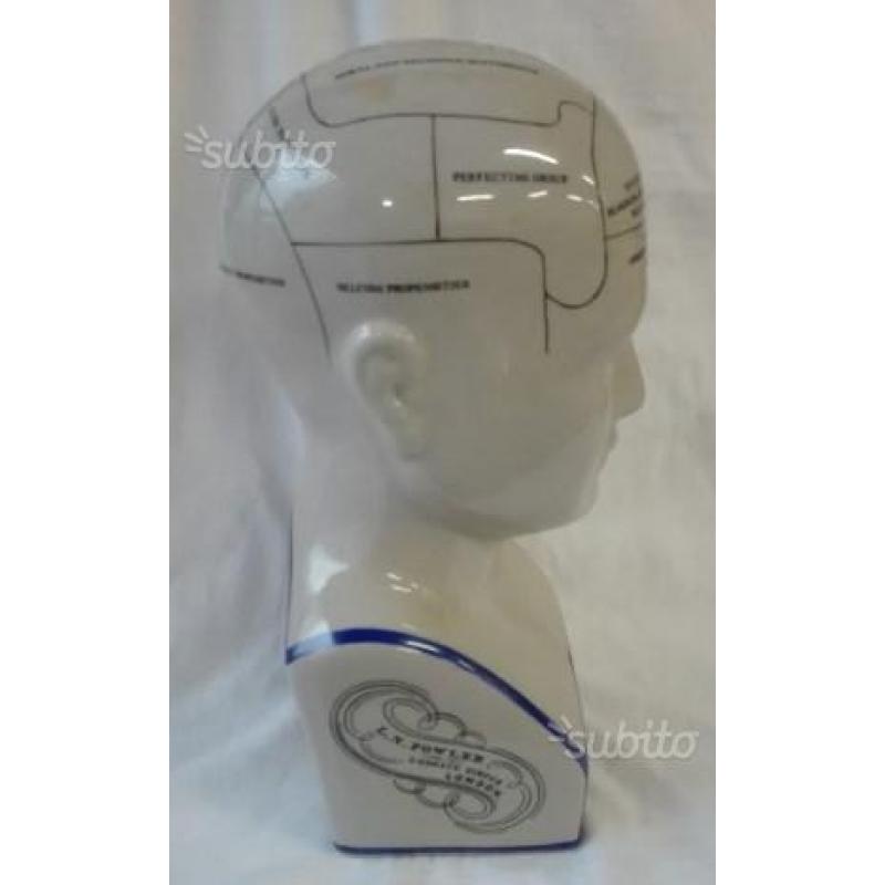 Phrenology scultura