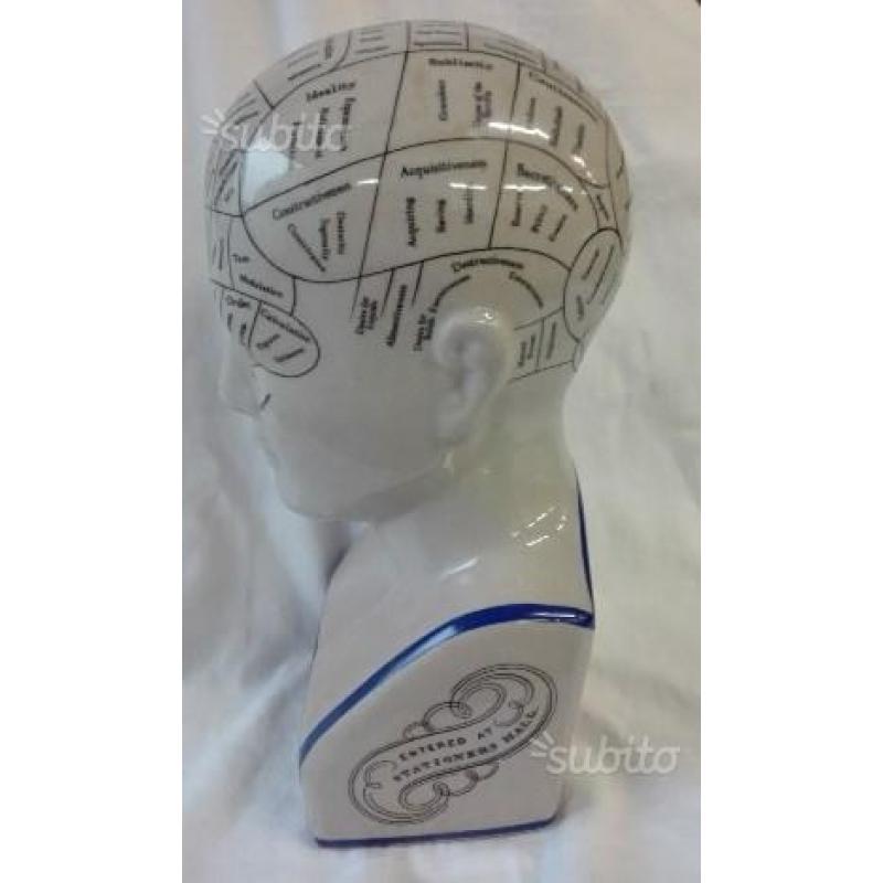 Phrenology scultura