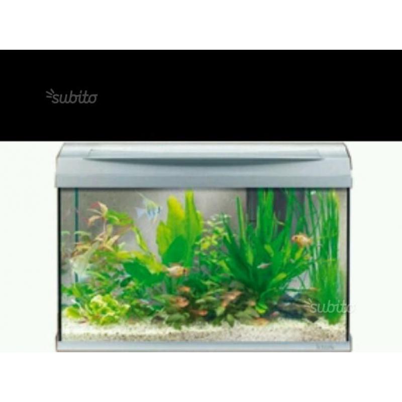 Acquario Tetra 60lt