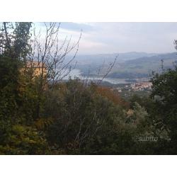 Terreno Agricolo - Guardialfiera