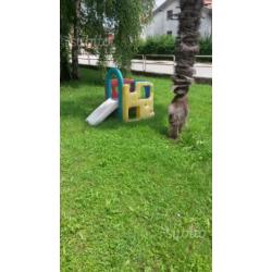 Giochi per bambini da giardino