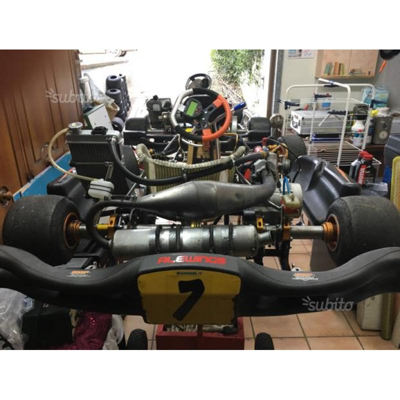 Kart Birel 125 marce