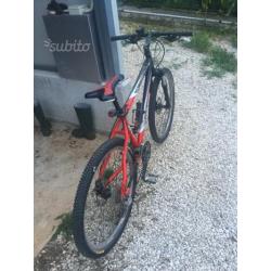 Mountain bike FRW