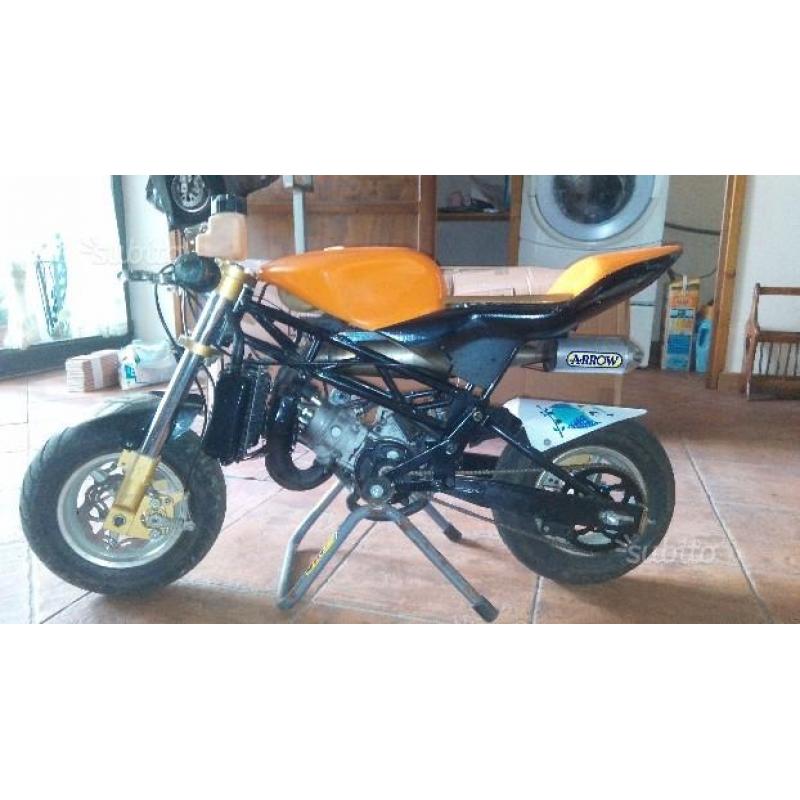 Minimoto zpf