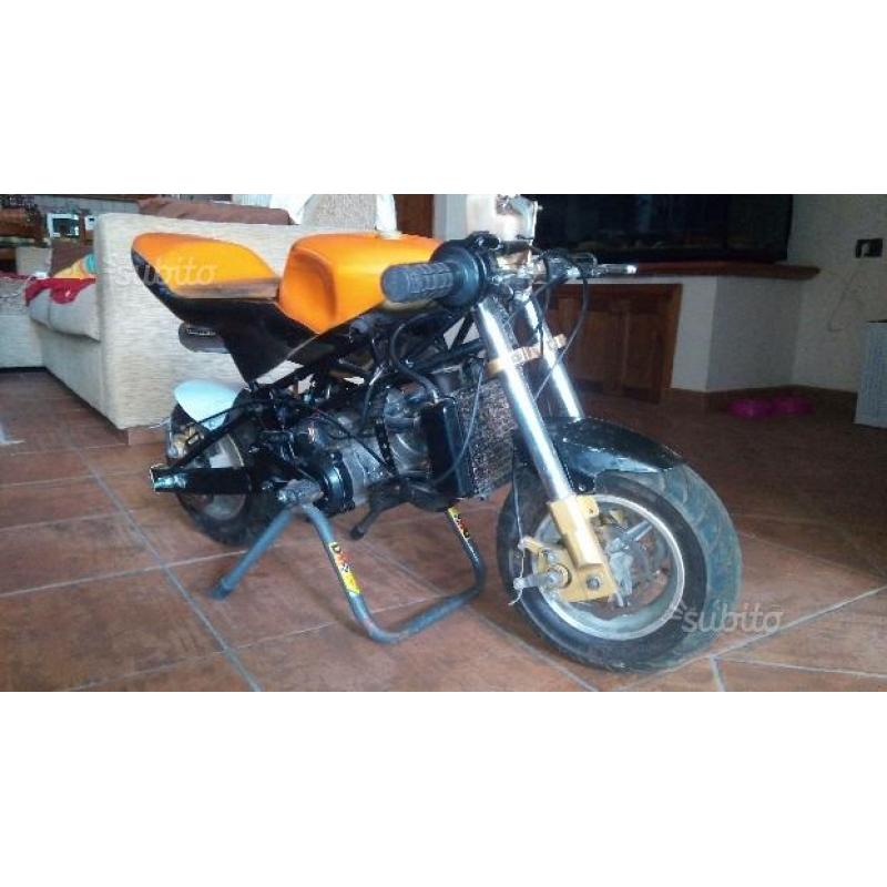 Minimoto zpf