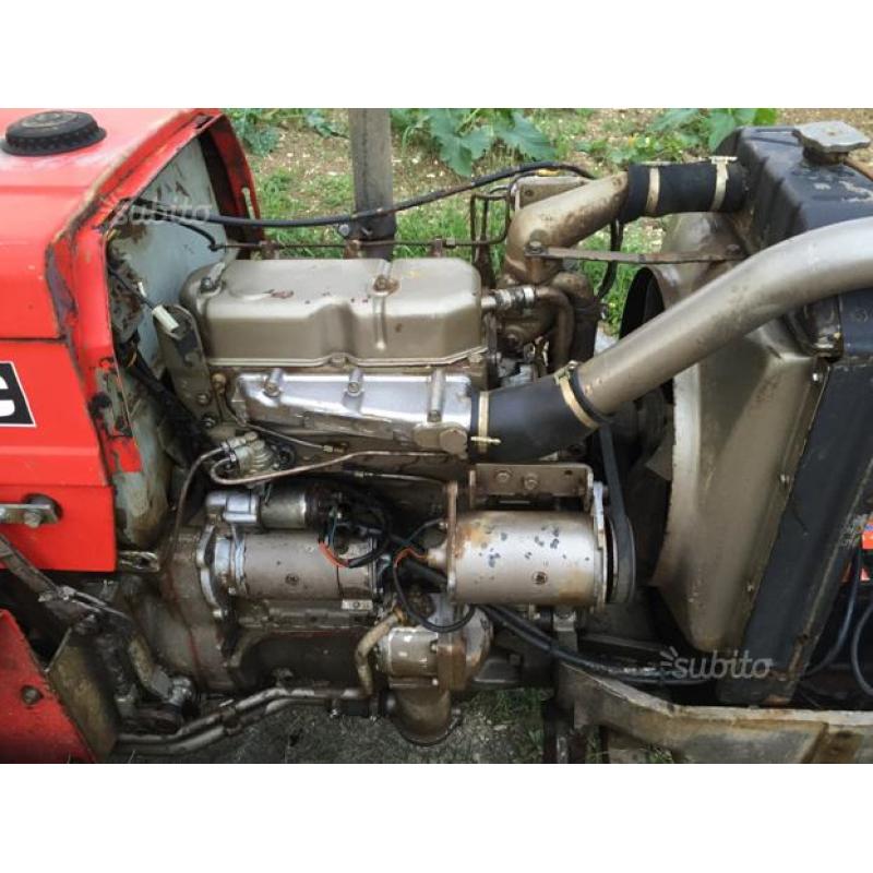 Trattore Massey ferguson 134c cingolato