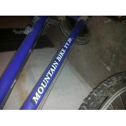 Bicicletta Mountain Bike 20"