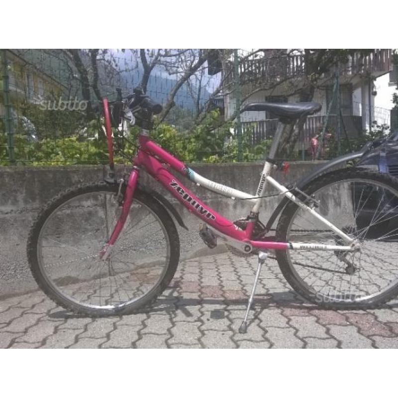 Bicicletta 9-12 anni