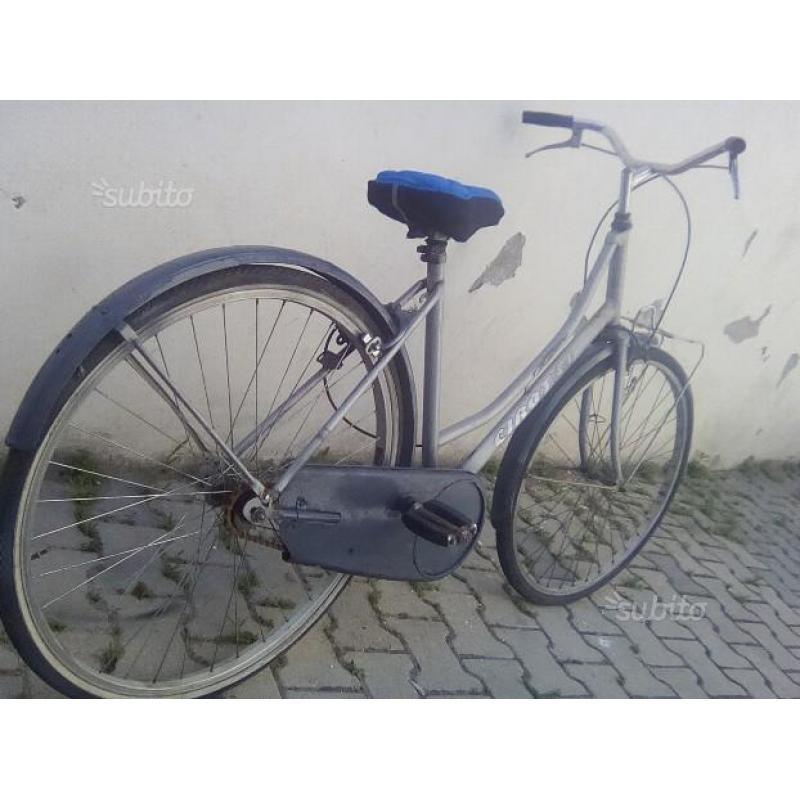 Bicicletta da passeggio