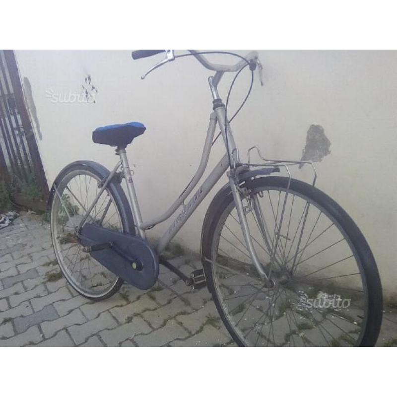 Bicicletta da passeggio