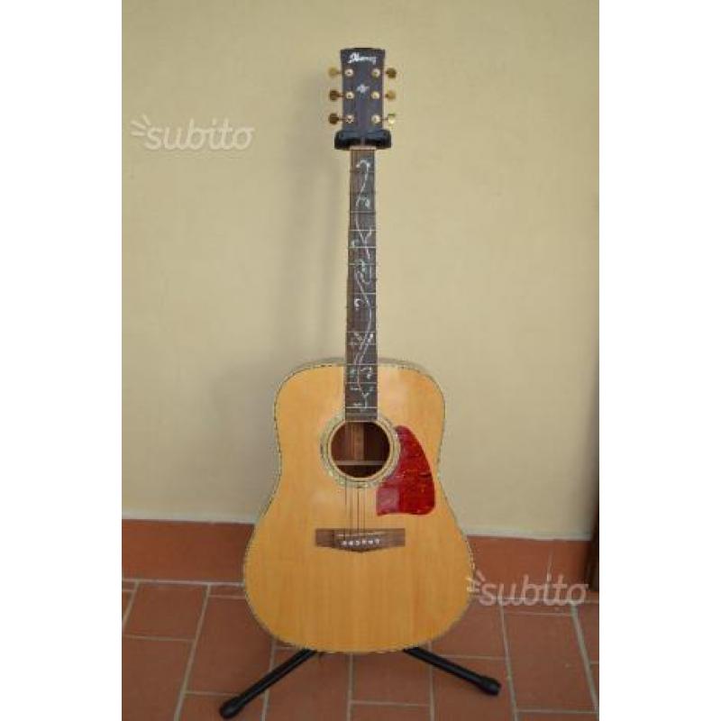 Chitarra acustica Ibanez AW-40 NT