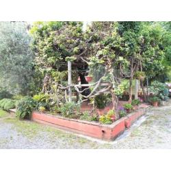 TerraTetto con Giardino e 2 Posti Auto Esclusivi