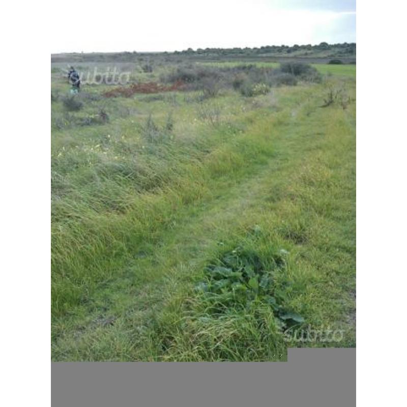 Terreno agricolo irriguo comune di Giba