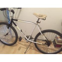 Bici uomo con cambio da 26"