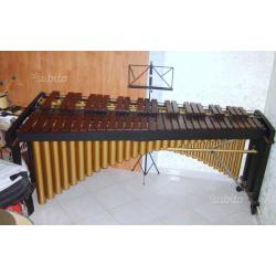 Marimba studio 49