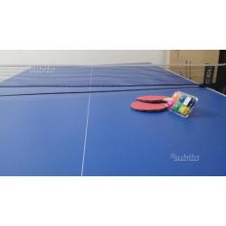 Tavolo ping pong