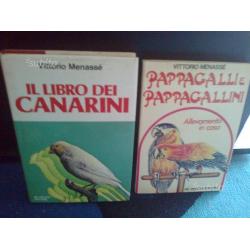 Libri volatili