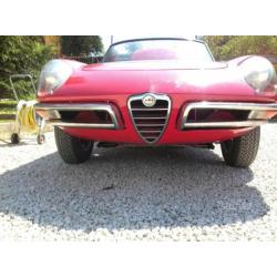 Alfa Romeo osso di seppia