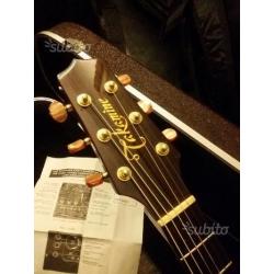 Chitarra Acustica Takamine Tan 16 C